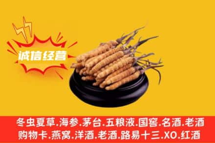 焦作回收冬虫夏草